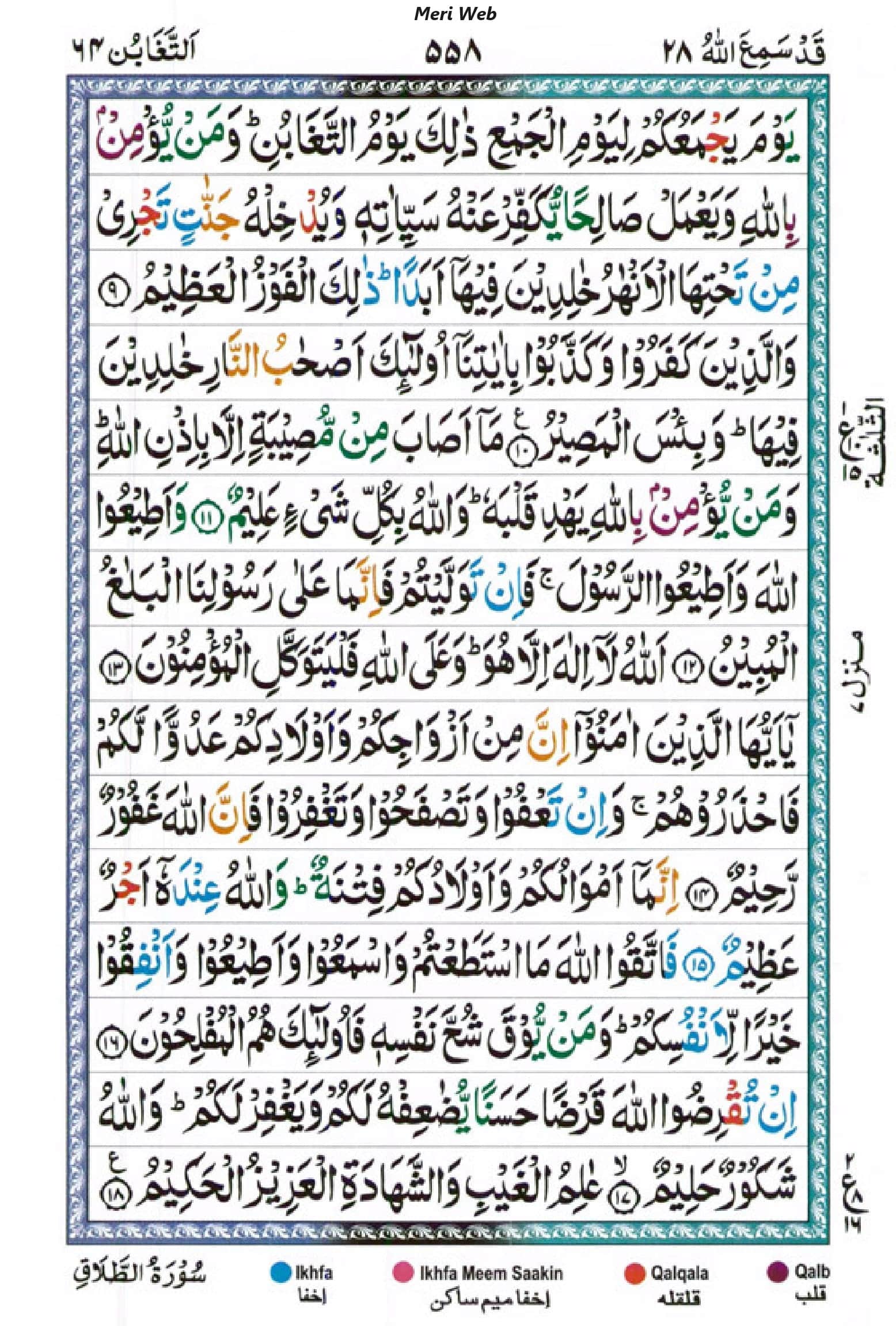 surah taghabun